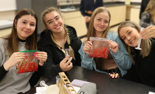 Bev Facey Community High students in the Advanced Placement program perform a strawberry DNA extraction lab.