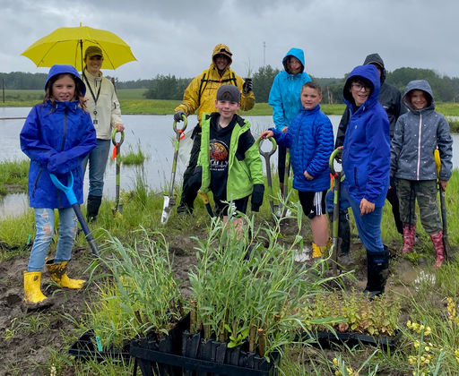 Grade 4 students help to plant wetland vegetation with Strathcona County employees at a grand opening of the new wetlands near Uncas Elementary.