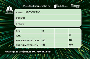 Supplemental Bus Pass Example