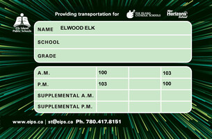 Transfer Bus Pass Example